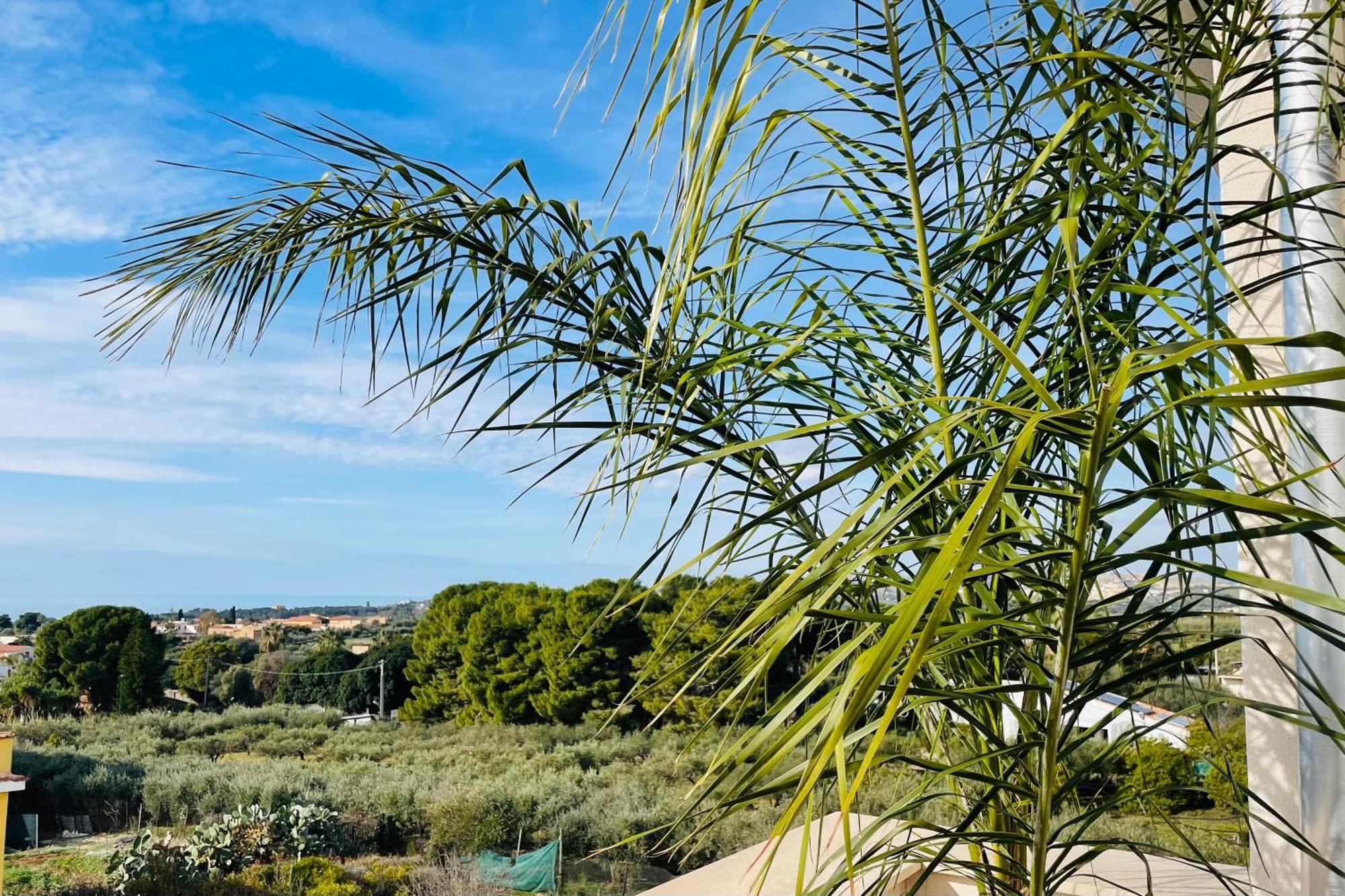 Alika Apartment Agrigento Eksteriør billede
